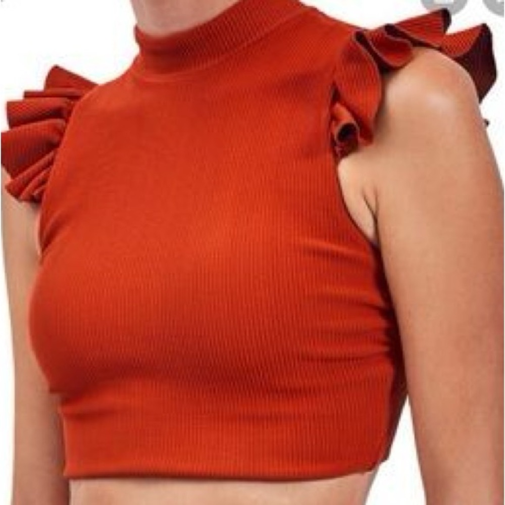 DEVON WINDSOR ALORA CROP TOP Rust